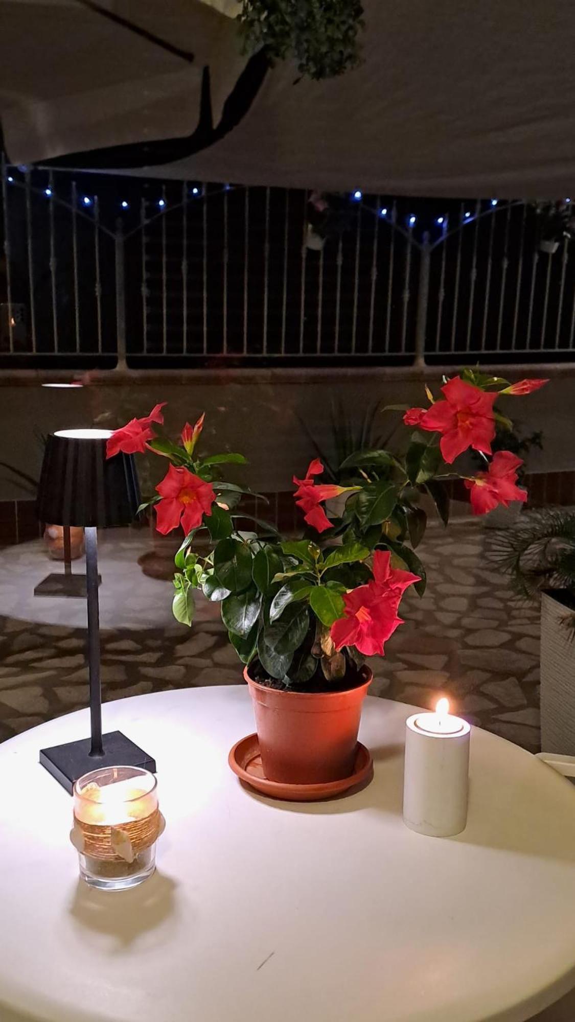 Tramonto Sul Mare Bed & Breakfast Termoli Bagian luar foto